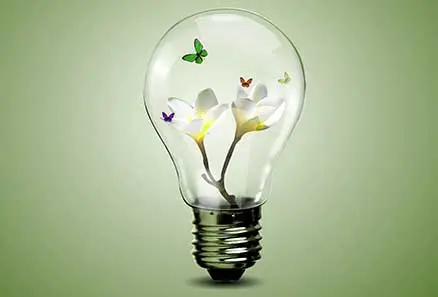 Environment_responsibility